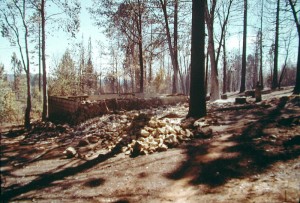 House after forest fire at Ananda.